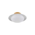 Lámpara LED de techo 10W eficiente