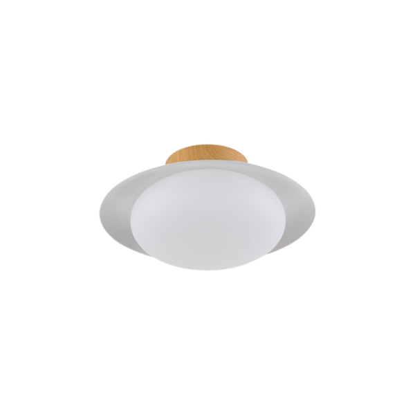 Lámpara LED de techo 10W eficiente