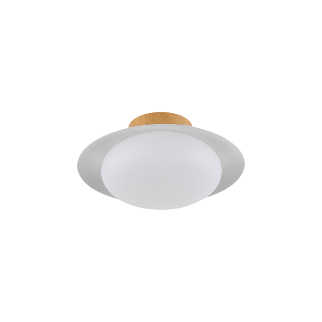 Lámpara LED de techo 10W eficiente