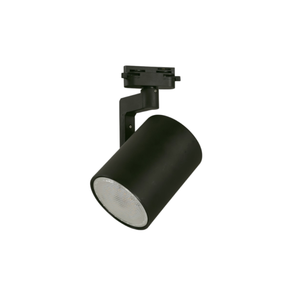 Lámpara de Techo Negra 12W E27