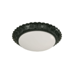 Lámpara de Techo Negro 2 Luces