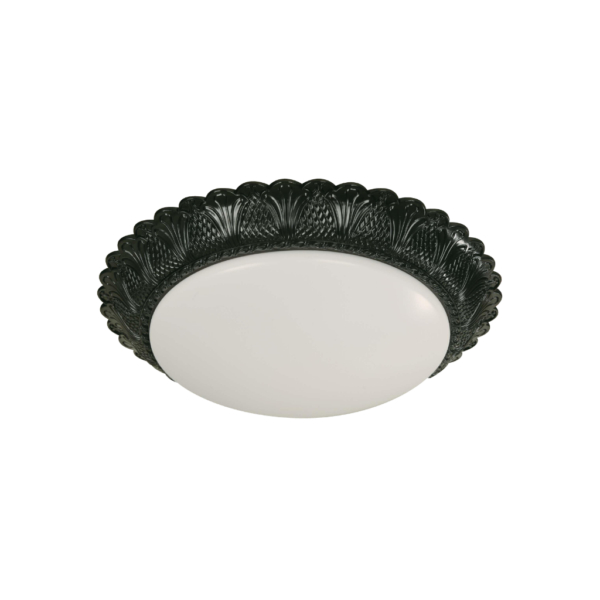 Lámpara de Techo Negro 2 Luces
