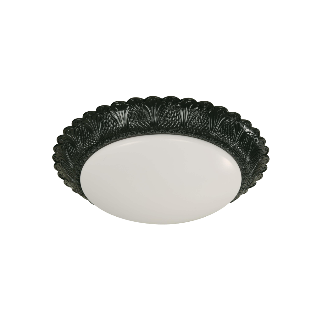 Lámpara de Techo Negro 2 Luces