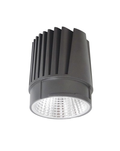 Módulo LED 24W Luz Cálida CRI90