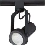 Lámpara de Riel Negra PAR20 Moderna