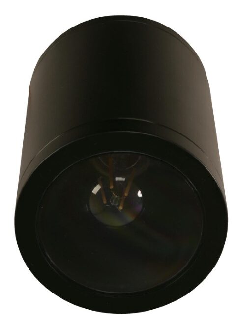 Lámpara de techo negra 12W E27