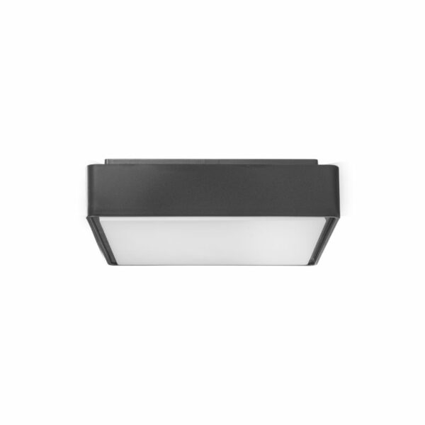 Luz AURO ILUM CARU12W Gris IP65